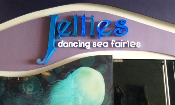 jellies-sign