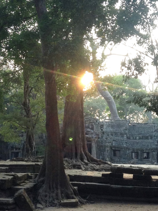 This is the entrance to Ta Prohm. The photo sucks. Even if it didn't, you have to be there as the sun sets to experience the colors (rather than just see them).